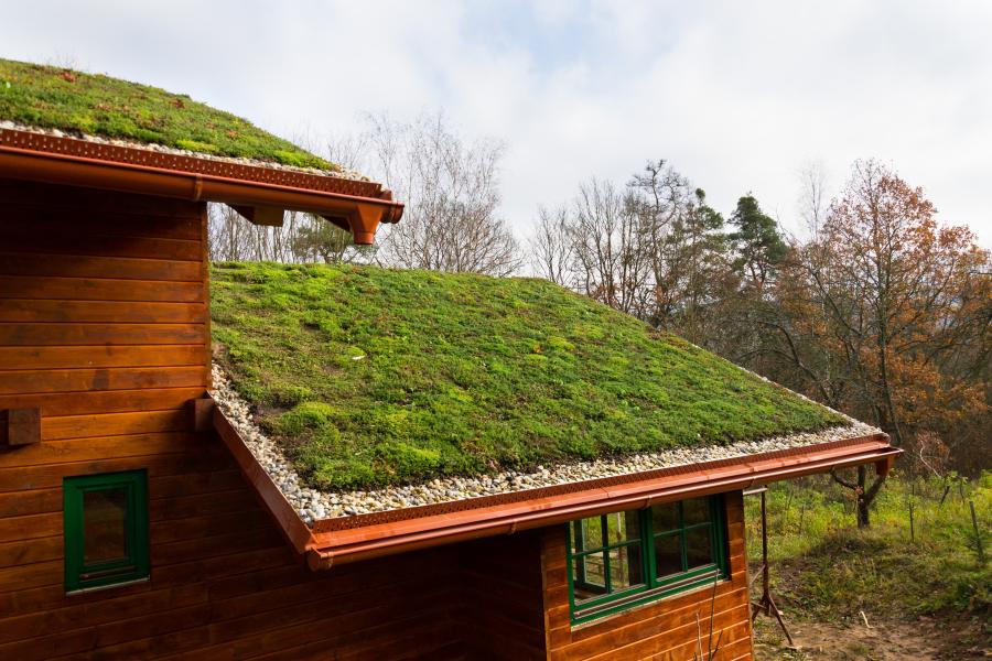 5 Structural Essentials for Installing a Live Sedum Green Roof